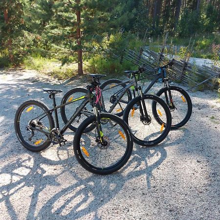 Villa Aalto Koli Kolinkylä Esterno foto